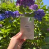 Micro Gehaakte Monstera Blad – Boekenlegger & Magneet