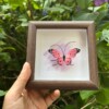 Micro Gehaakte Roze Vlinder in Lijstje – Uniek en Handgemaakt