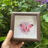 Micro Gehaakte Roze Vlinder in Lijstje – Uniek en Handgemaakt
