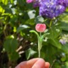 Micro Gehaakte Tulp Broche