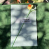 Micro Gehaakte narcissen Boekenleggers