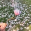 Micro gehaakte Magnolia Bloemenbroches