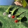 Micro gehaakte tulp oorbellen