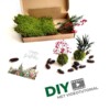 Mini Kokedama Do It Yourself KIT