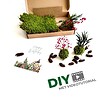 Mini Kokedama Do It Yourself KIT