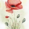 Mooie handgmaakte aquarel kaart
