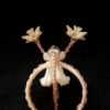 Necklace 'star being'
