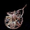 Necklace 'unified starlights'