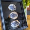 Oesterkunst | Delfts Blauw