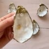 Workshop 'Oesteren' in IJmuiden - creatief met schelpen