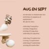 Workshop 'Oesteren' in IJmuiden - creatief met schelpen
