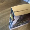 Fantasie deurtje boekenlegger / boek decoratie
