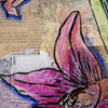 Floral card. Retro 7. Silhouet van bloemen op oud papier
