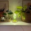Gehaakte Lelietjes-van-dalen Lamp in Glazen Stolp