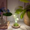 Gehaakte Sneeuwklokjeslamp – Zacht Licht, Lentegevoel