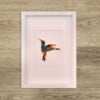 Hummingbird