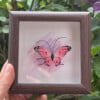 Ingelijste Micro Gehaakte Vlinder – Roze – Handgemaakte Textielkunst op Aquarel Achtergrond