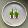 Kamerplant sanseveria oorbellen