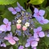 Micro Gehaakte Aardbei Oorbellen met Bloemetjes