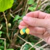 Micro Gehaakte Citroen Oorringen