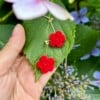 Micro Gehaakte Rozenoorbellen – Rood & Oranje