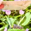 Micro Gehaakte Tulp Oorbellen – Met Blaadje