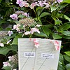 Micro Gehaakte kersenbloesems Boekenleggers