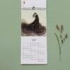 Postkaart Kalender- editie 01