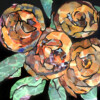 Roses -