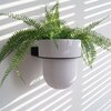 STERKSTAEL Flora S Eco Pot Marble Grey - bloempothouder - kleur houder zwart - kleur pot marmer grijs - inclusief bloempot ø12cm - poedercoating - staal - verticale muur