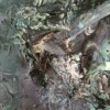 Abstract schilderij - duister groen
