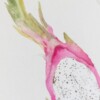 Dragon Fruit Kaart | Handgeschilderde wenskaart – Anna-Mae Studio