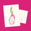 Dragon Fruit Kaart | Handgeschilderde wenskaart – Anna-Mae Studio