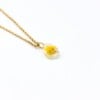 Ketting met Druppelvormige Hanger Gevuld met Echte Bloemen uit Amsterdam