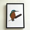 Kunstprint 'IJsvogel'