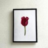 Kunstprint 'Rode tulp'