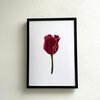 Kunstprint 'Rode tulp'