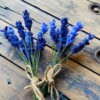 Lavendel van vilt