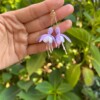 Micro gehaakte fuchsia oorbellen – handgemaakt, hypoallergeen
