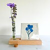 Tegeltje 'Iris'