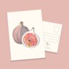 Vijgenkaart | Handgeschilderde wenskaart – Anna-Mae Studio