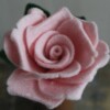 Vilten Roos