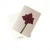 Wenskaart 'Amaryllis'
