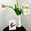 Wenskaart 'IJsvogel'