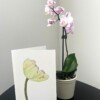 Wenskaart 'Lichtgele tulp'
