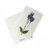 Wenskaart 'Lisianthus'