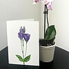 Wenskaart 'Lisianthus'