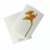 Wenskaart geboortebloem maart 'Narcis'