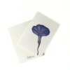 Wenskaart geboortebloem september 'Dagwinde'