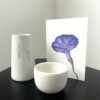 Wenskaart geboortebloem september 'Dagwinde'